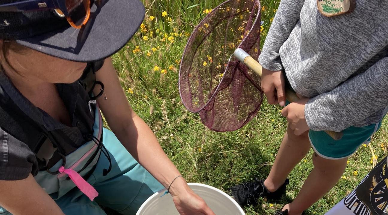Sabo handles bullfrog in bucket