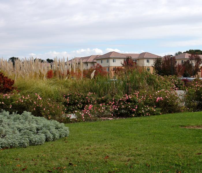 Decorative landscape image