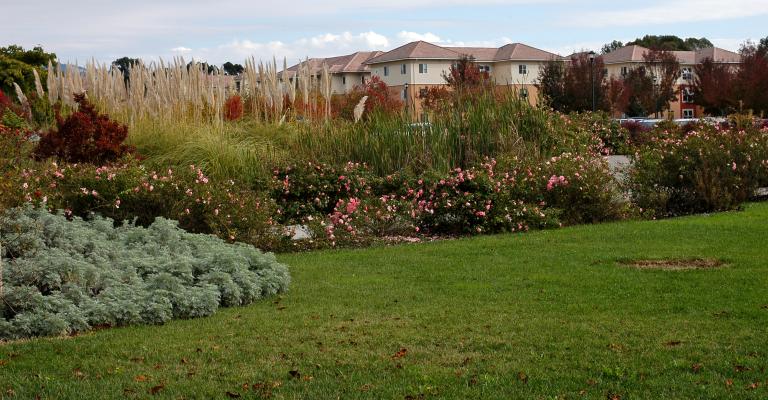 Decorative landscape image