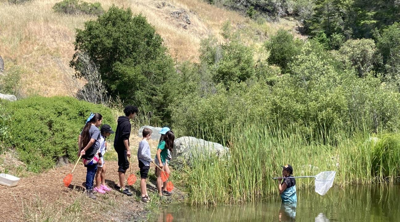 Sabo searching for bullfrogs in lake as campers watch