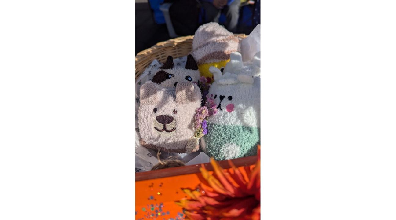 Stuffies made by the students
