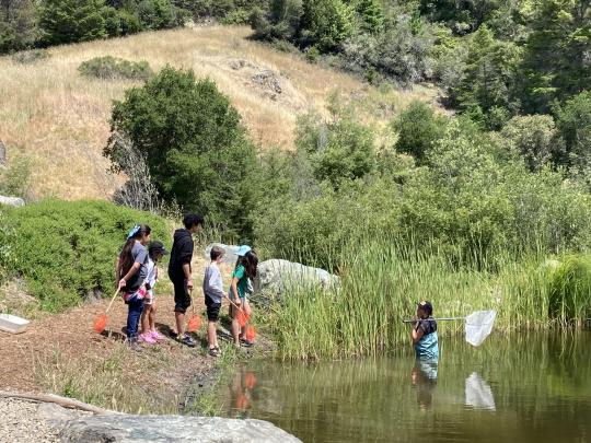 Sabo searching for bullfrogs in lake as campers watch